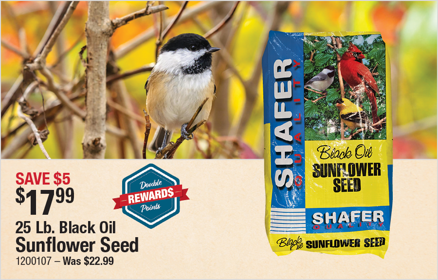 25 Lb. Black Oil Sunflower Seed